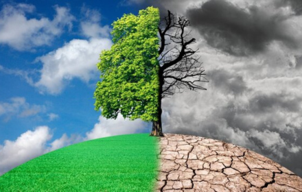 untitled design (16)